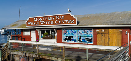 Monterey Bay Whale Watch Center, photo by Sebastian Gorgol