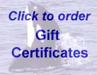 Click to order whale watch gift certificates