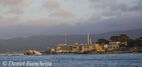 Monterey Bay Aquarium in evening light, photo by Daniel Bianchetta