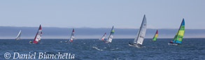 Sailing regatta, photo by Daniel Bianchetta