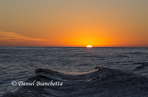 Beautiful end of a beautiful journey, photo by Daniel Bianchetta