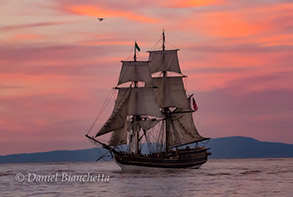 The Lady Washington, photo by Daniel Bianchetta