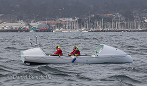 Biennial Great Pacific Race, photo by Daniel Bianchetta