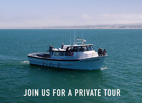 Join us for a private tour