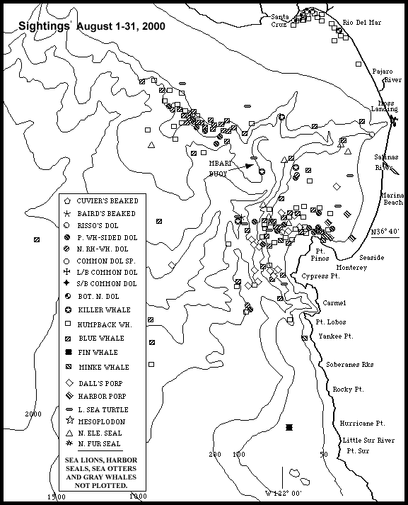 Monterey bay whale watching map